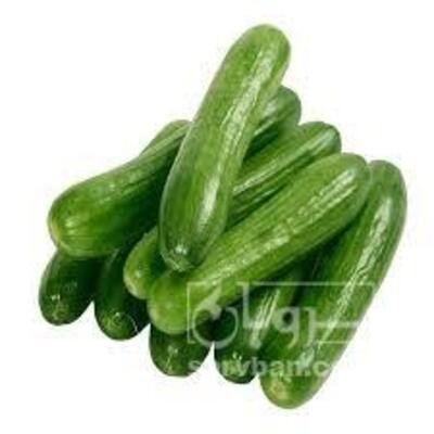 فروش خیار