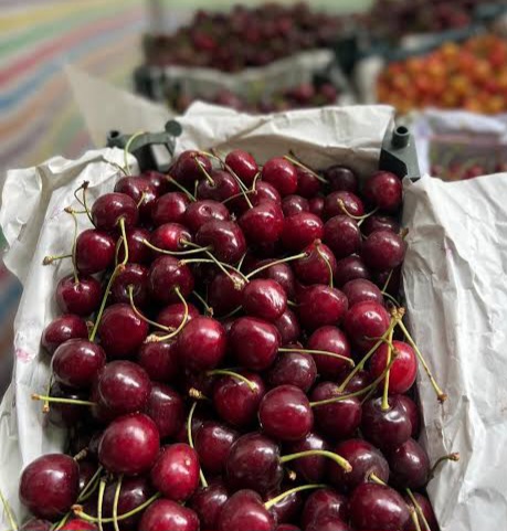 فروش گیلاس