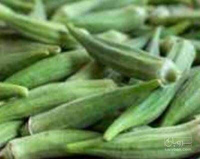 فروش بامیه
