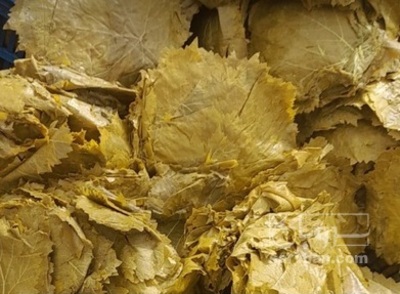 فروش برگ مو