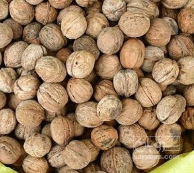 فروش گردو