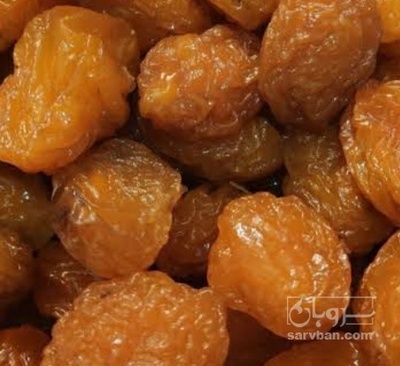 فروش آلو بخارا