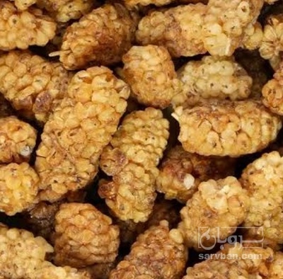 فروش توت خشک