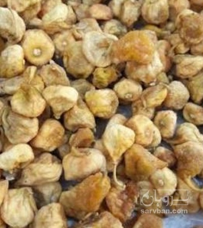 فروش انجیر خشک