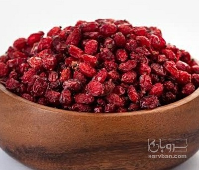 فروش زرشک