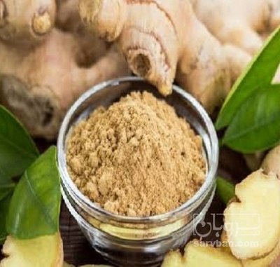 فروش زنجبیل (گیاه‌ دارویی)