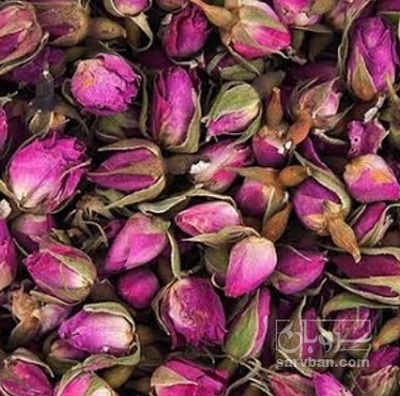 فروش گل محمدی (گیاه‌ دارویی)