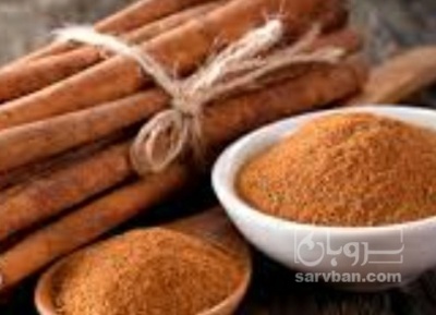 فروش چوب دارچین