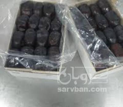 فروش خرما مضافتی