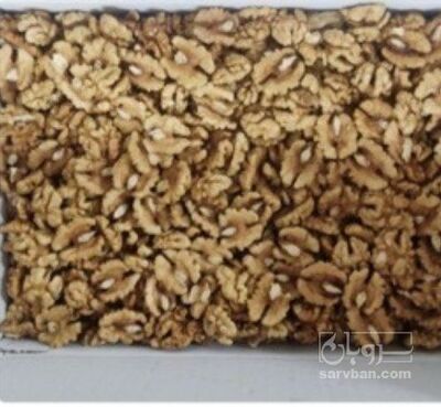 فروش گردو