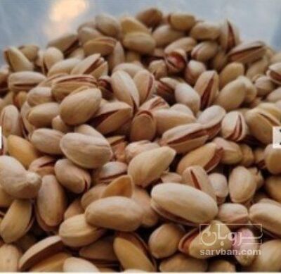 فروش پسته