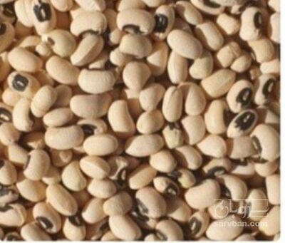 فروش لوبیا چشم بلبلی