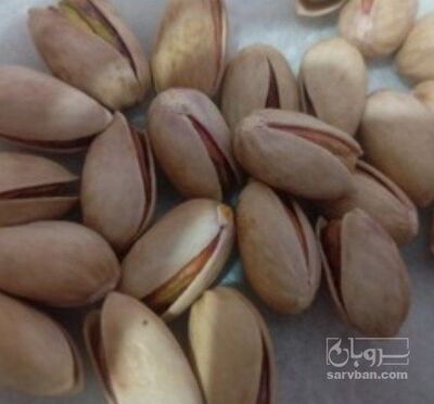 فروش پسته