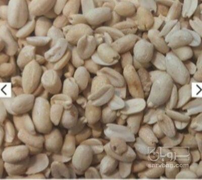 فروش بادام زمینی