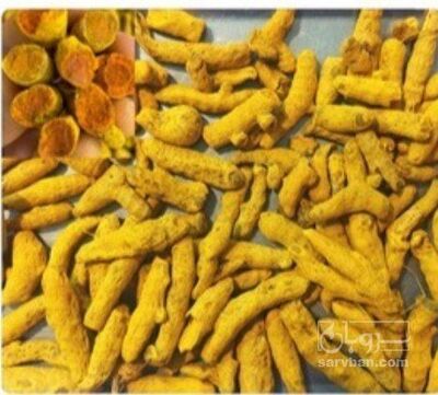 فروش پودر زردچوبه