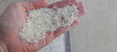 فروش برنج