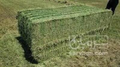 فروش یونجه