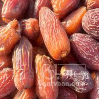 فروش خرمامجول