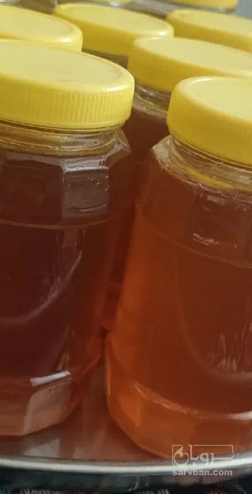 فروش عسل اویشن