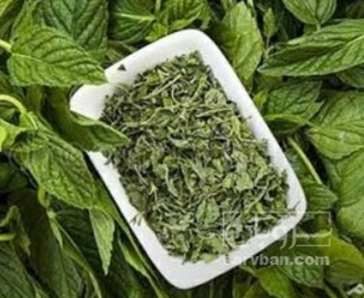 فروش نعناع خشک (گیاه‌ دارویی)
