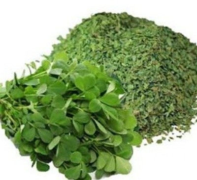 فروش شنبلیله (گیاه‌ دارویی)