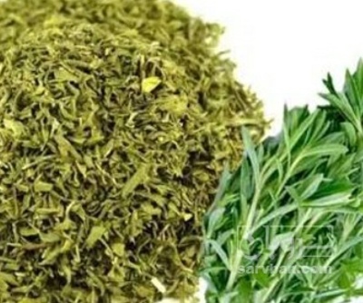 فروش مرزه (گیاه‌ دارویی)