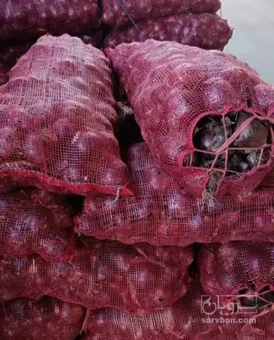 فروش پیاز قرمز