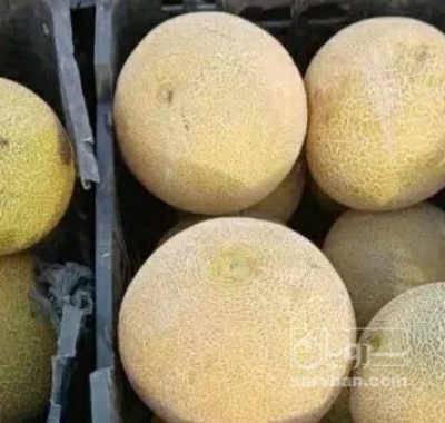 فروش ملون