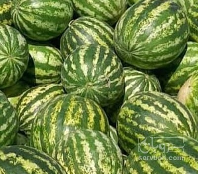 فروش هندوانه