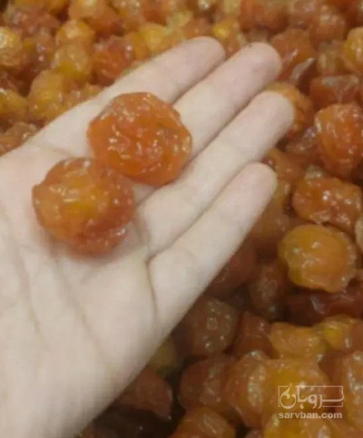 فروش آلو بخارا
