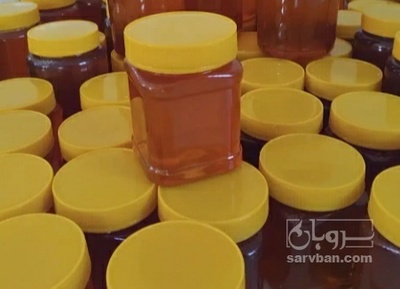 فروش عسل رازیانه