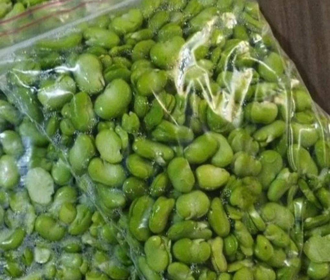 فروش باقلا تازه - باقالی - باقالا