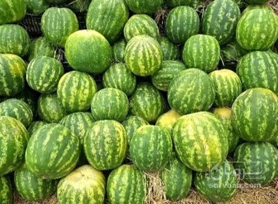 فروش هندوانه گرد