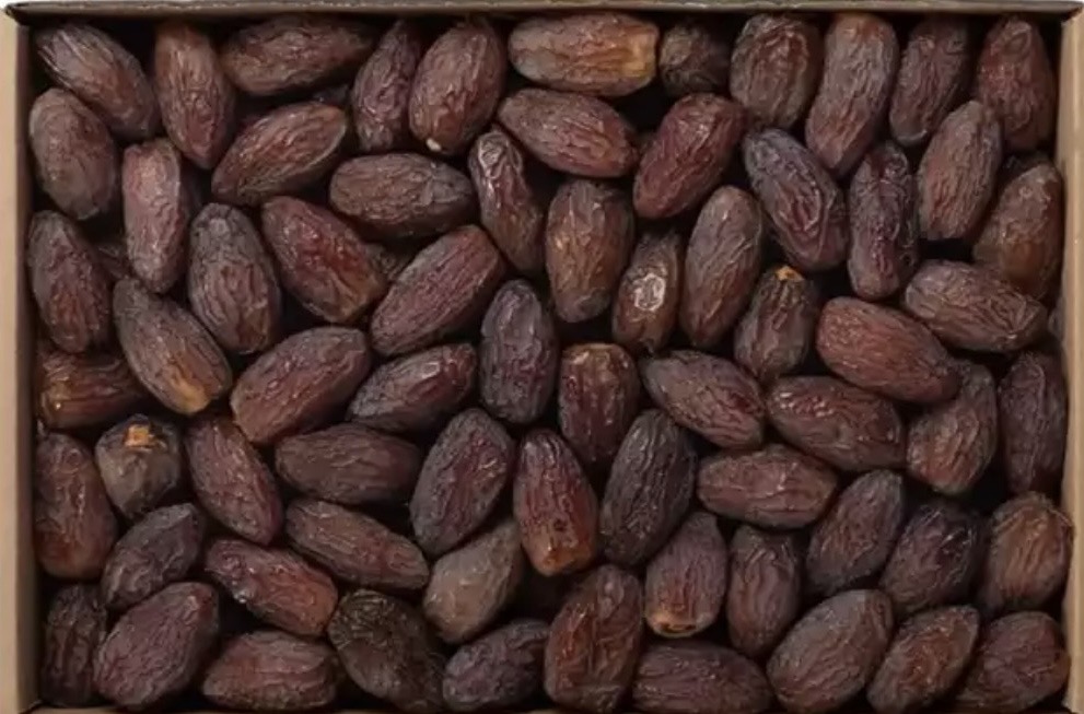 فروش خرما مجول