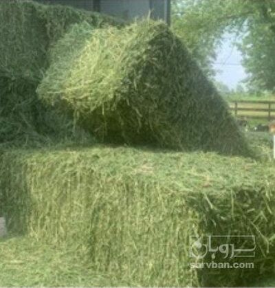 فروش یونجه