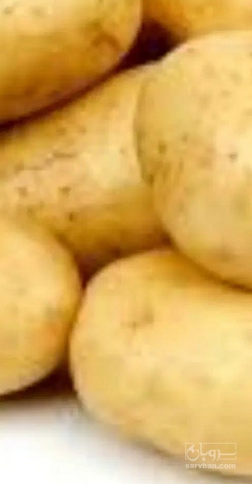 فروش سیب زمینی