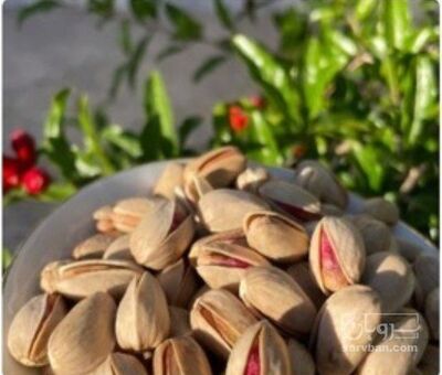 فروش پسته