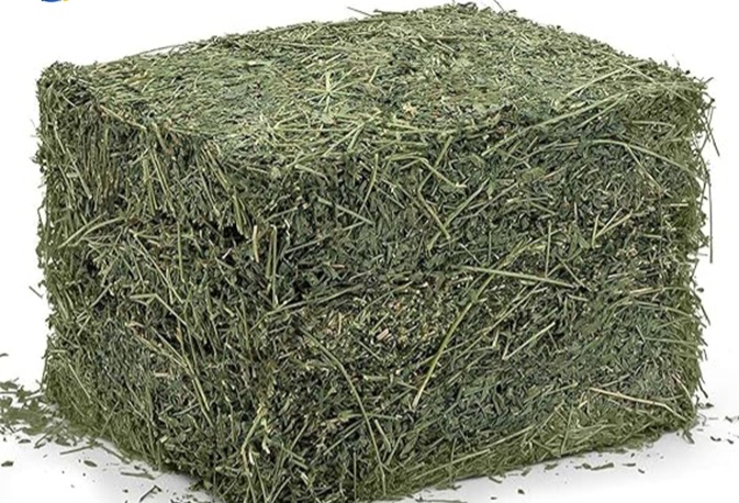 فروش یونجه