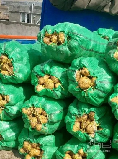 فروش سیب زمینی جلی