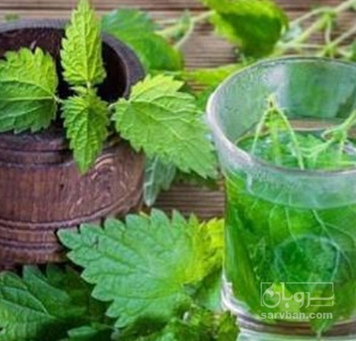 فروش عرق گزنه