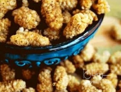 فروش توت خشک