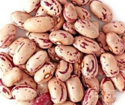 فروش لوبیا چیتی