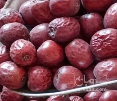 فروش عناب