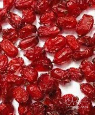 فروش زرشک اناری