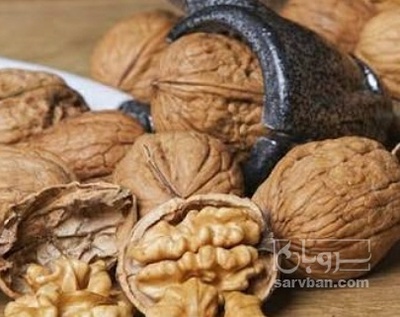 فروش گردو