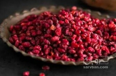 فروش زرشک اناری