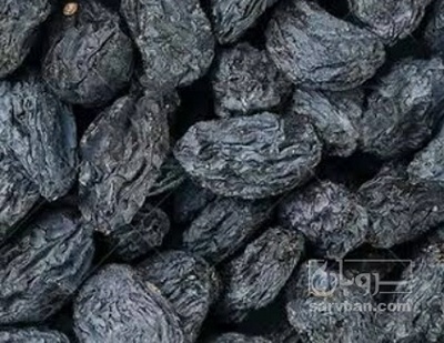 فروش مویز