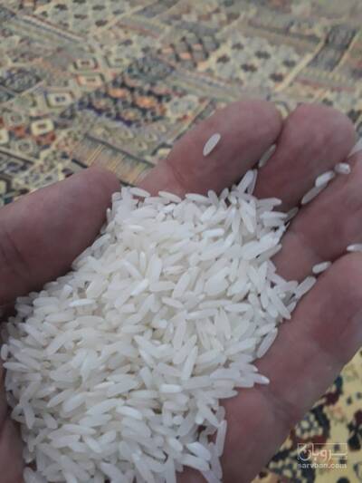 فروش برنج