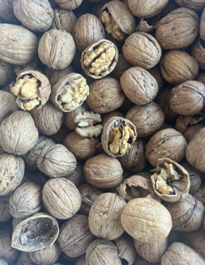 فروش گردو