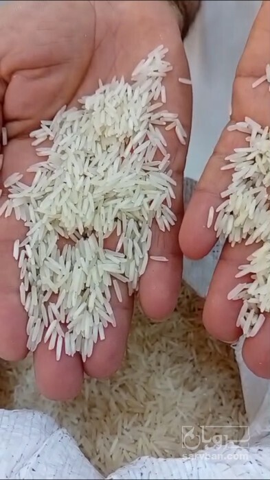 فروش برنج